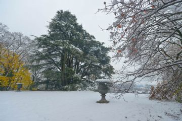 Paesaggio innevato